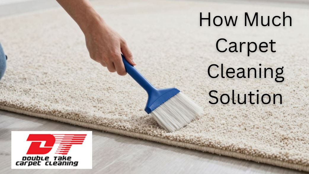How Much Carpet Cleaning Solution