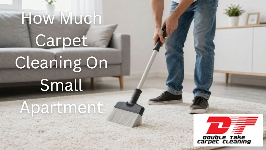 How Much Carpet Cleaning On Small Apartment
