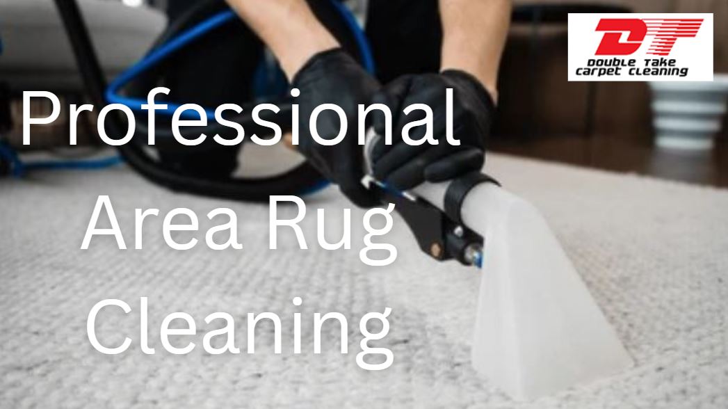 Professional Area Rug Cleaning