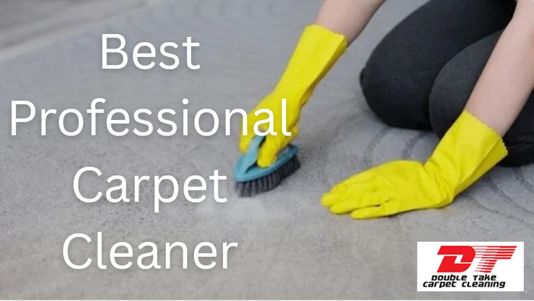 Best Professional Carpet Cleaner