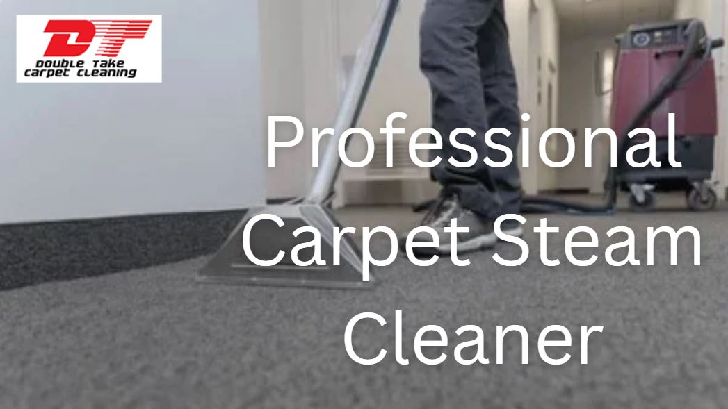 Professional Carpet Steam Cleaner