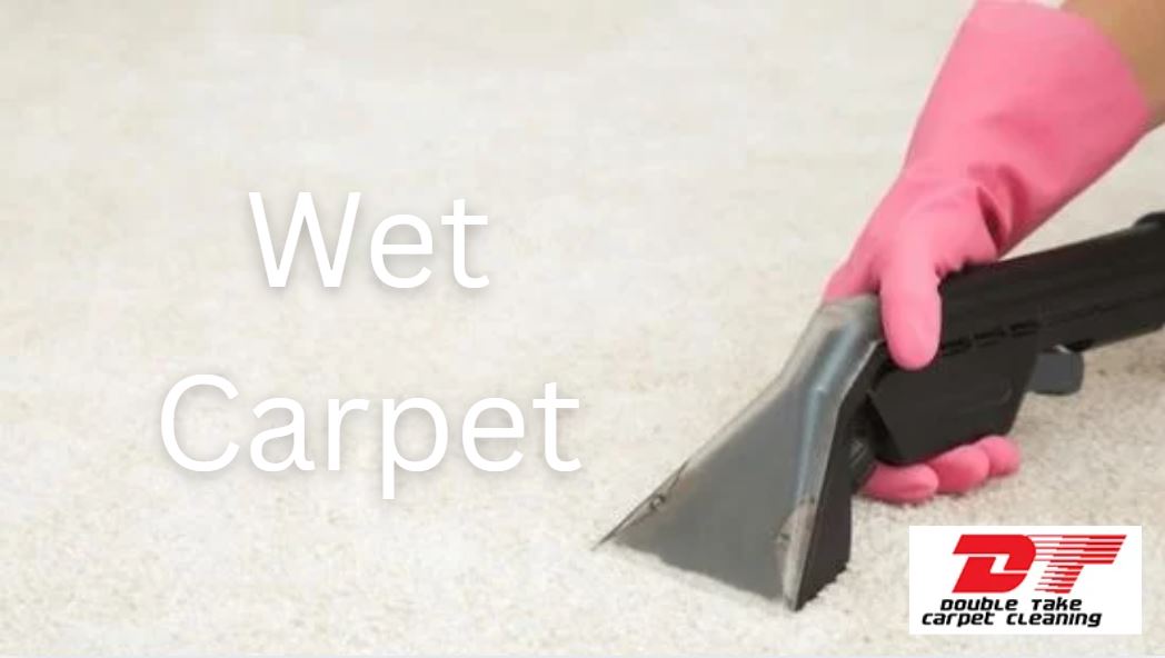 Wet Carpet
