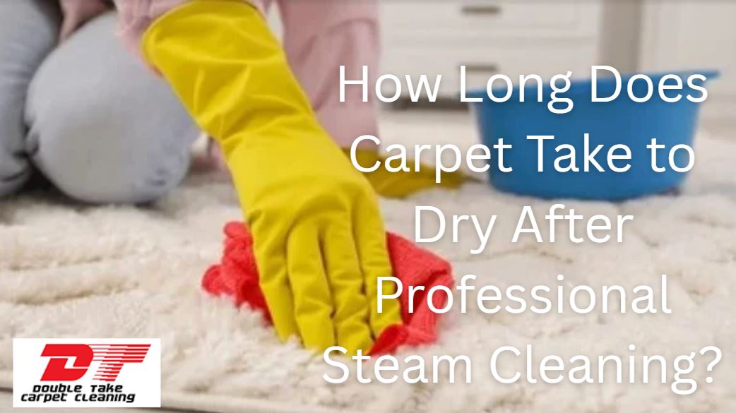 How Long Does Carpet Take to Dry After Professional Steam Cleaning?