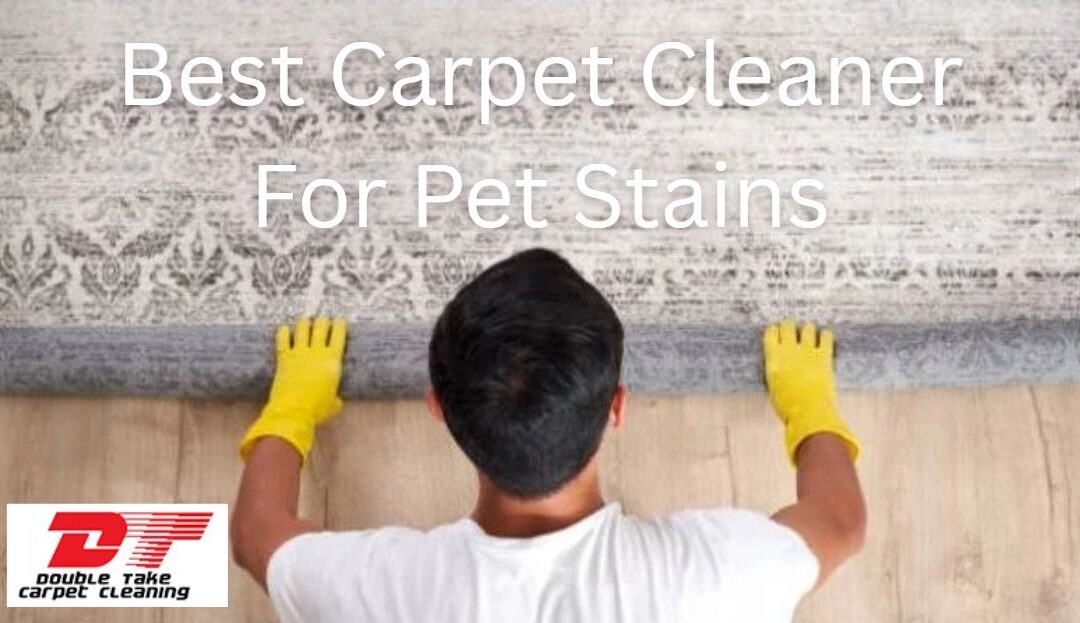 Best Carpet Cleaner For Pet Stains
