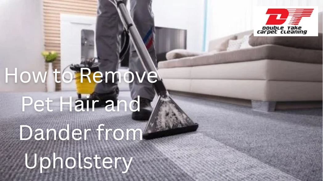 How to Remove Pet Hair and Dander from Upholstery