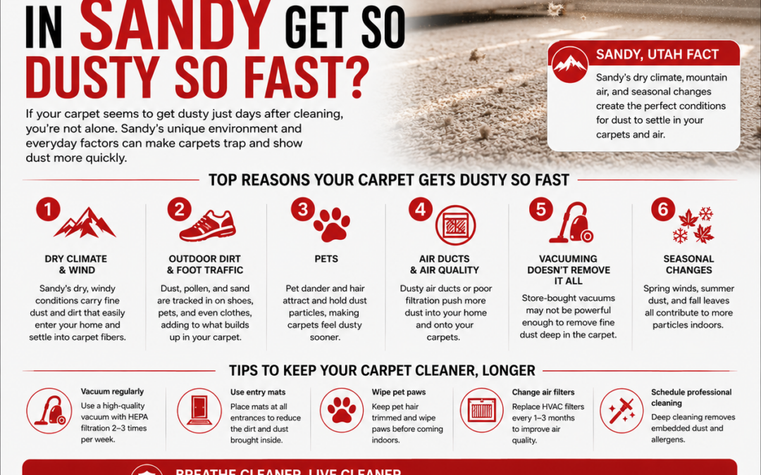 Why Does My Carpet in Sandy Get So Dusty So Fast?