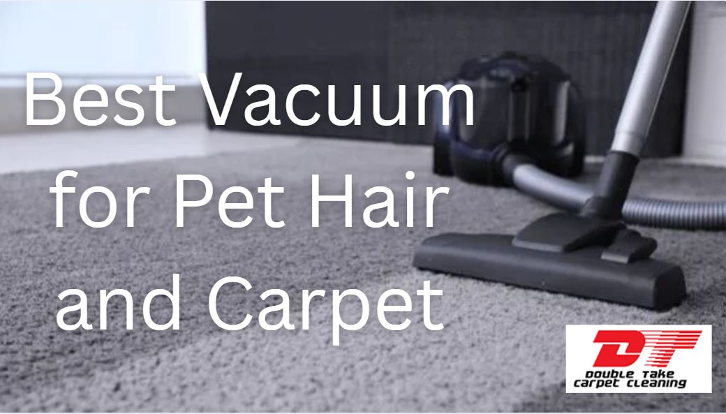 Best Vacuum for Pet Hair and Carpet
