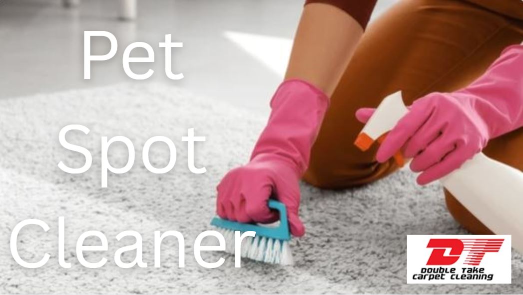 Pet Spot Cleaner