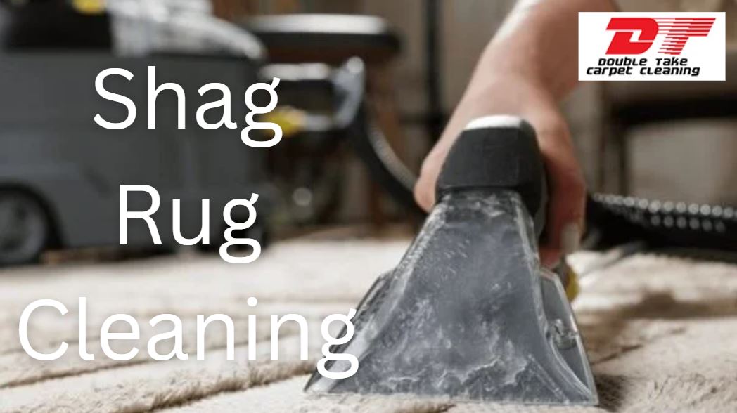 Shag Rug Cleaning