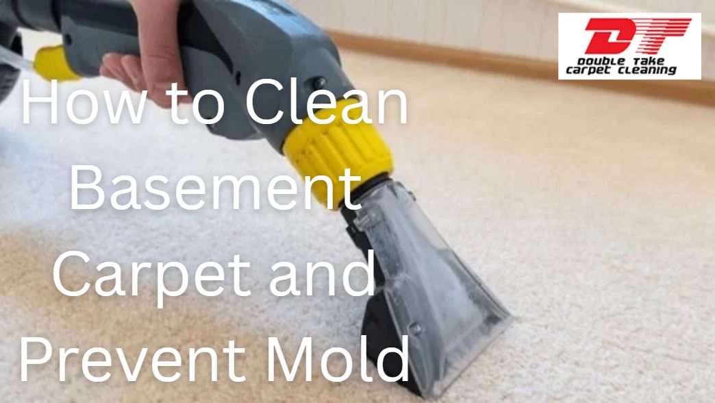 How to Clean Basement Carpet and Prevent Mold