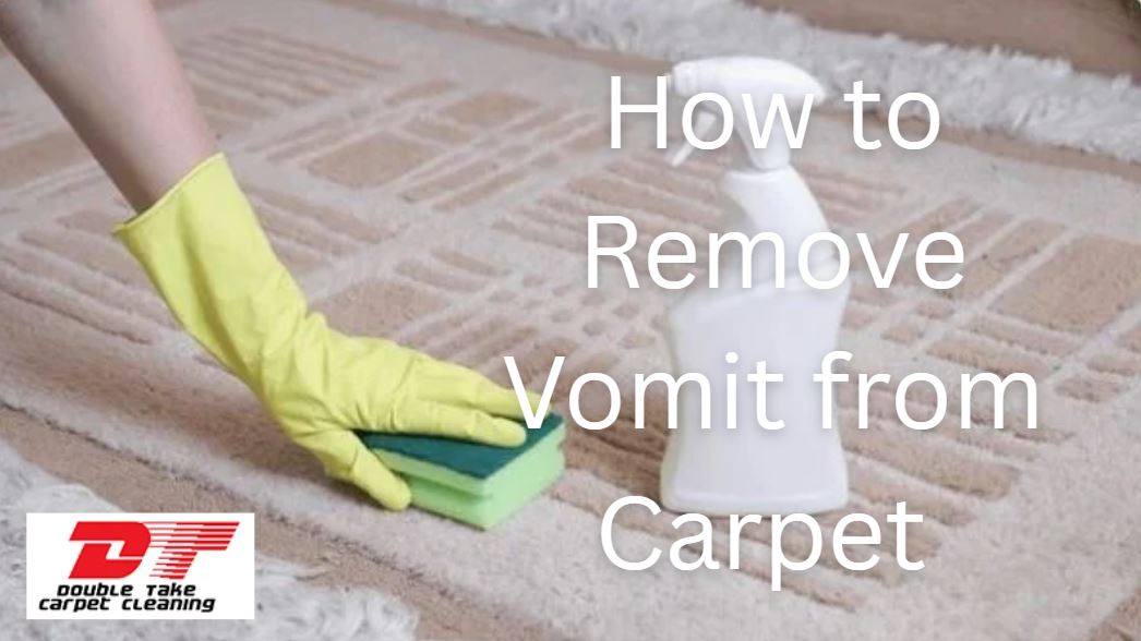 How to Remove Vomit from Carpet