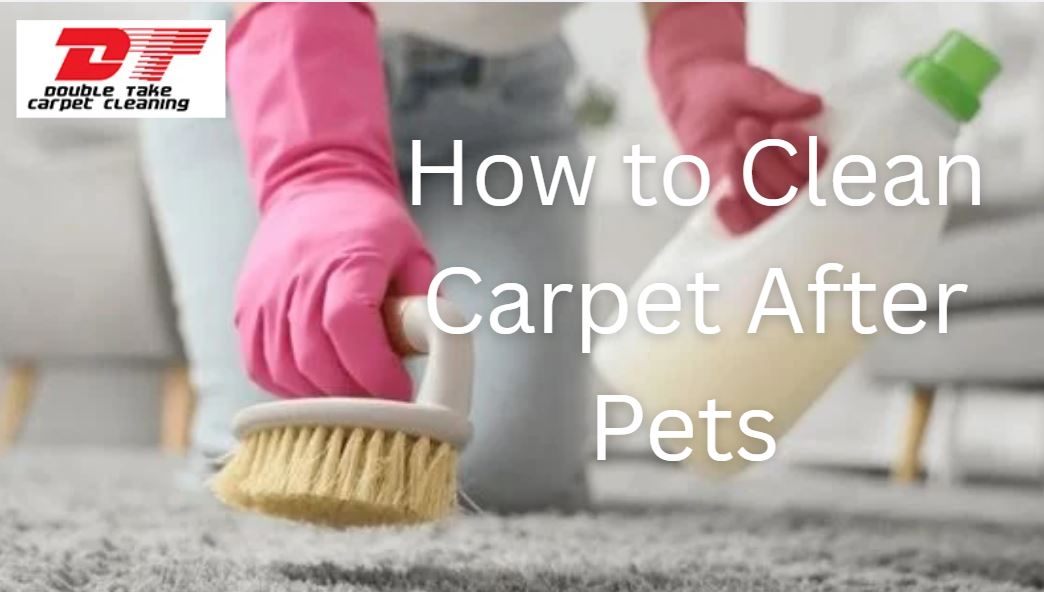 How to Clean Carpet After Pets