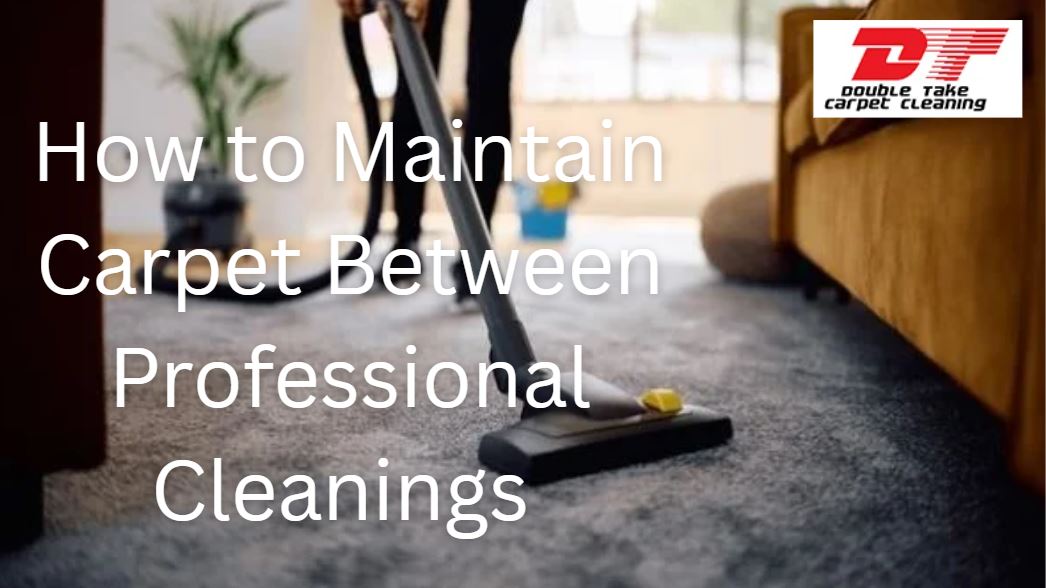 How to Maintain Carpet Between Professional Cleanings