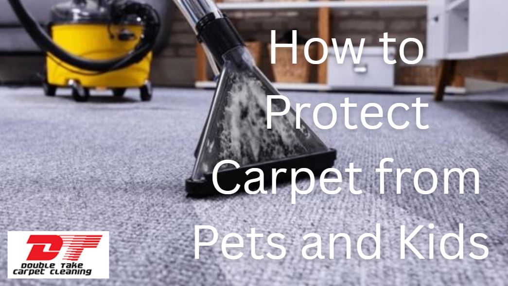 How to Protect Carpet from Pets and Kids