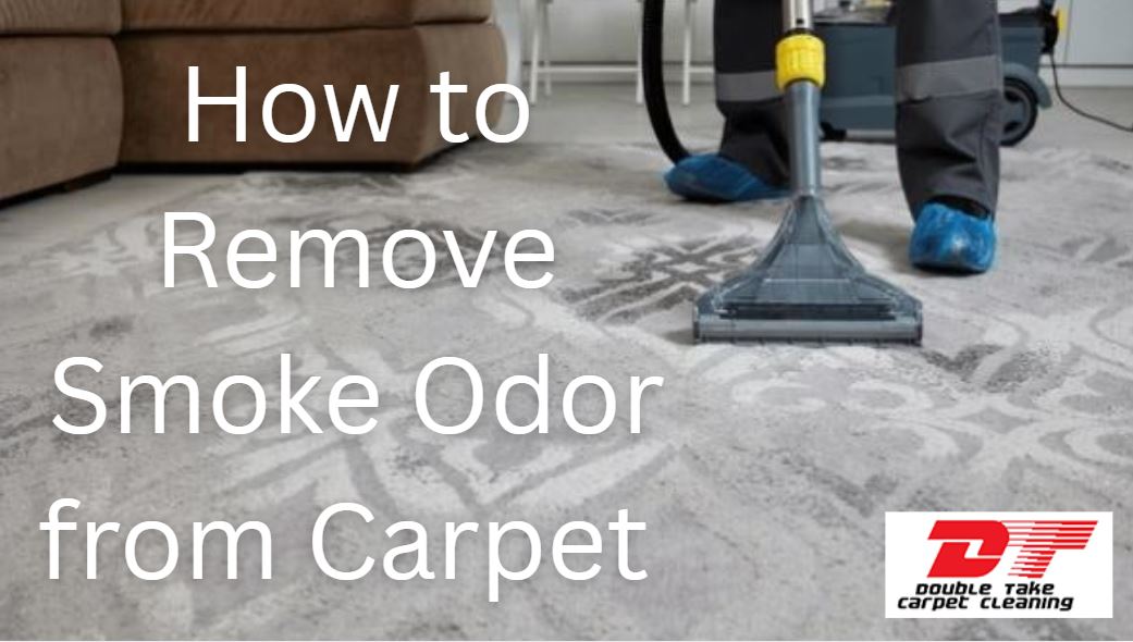 How to Get Rid of Carpet Moths
