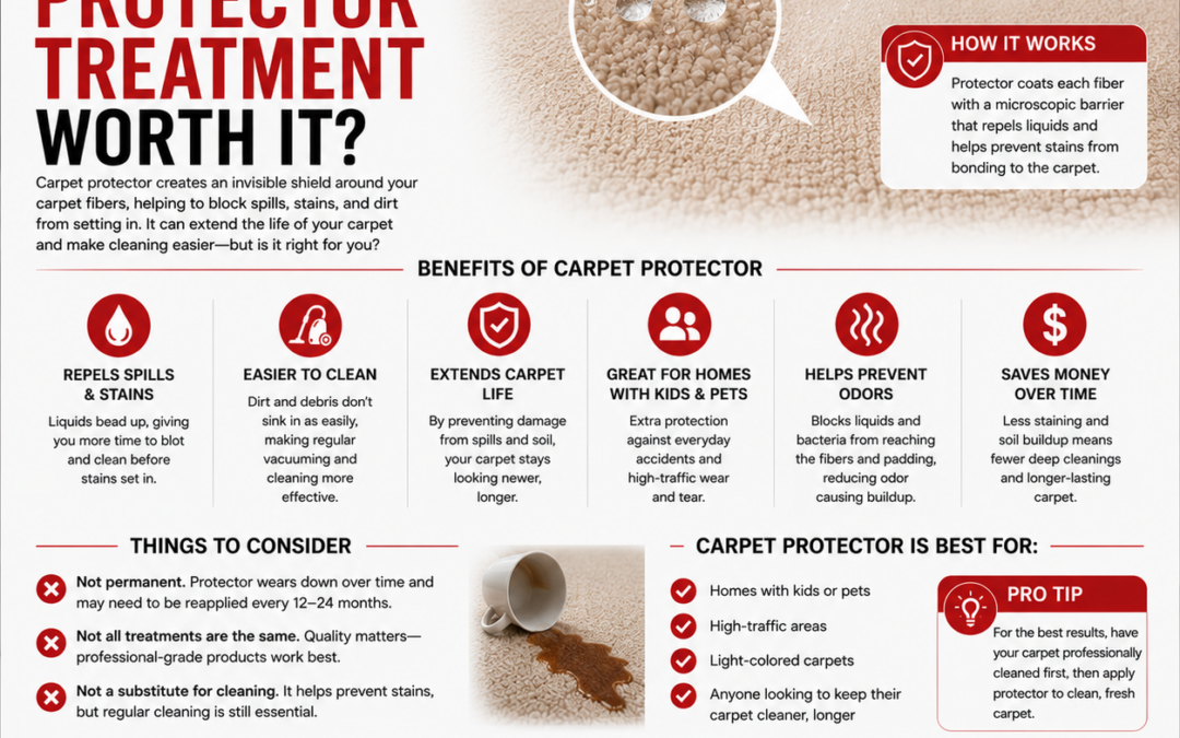 Is Carpet Protector Treatment Worth It?