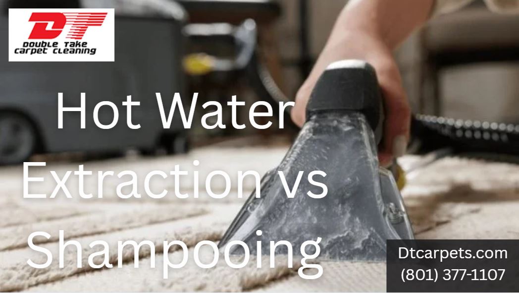 Hot Water Extraction vs Shampooing