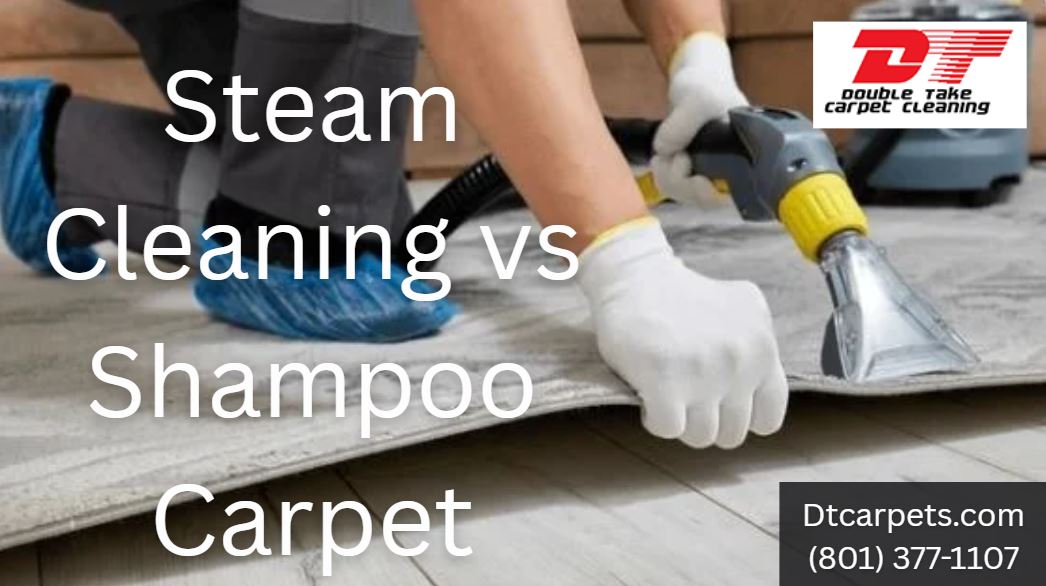 Steam Cleaning vs Shampoo Carpet