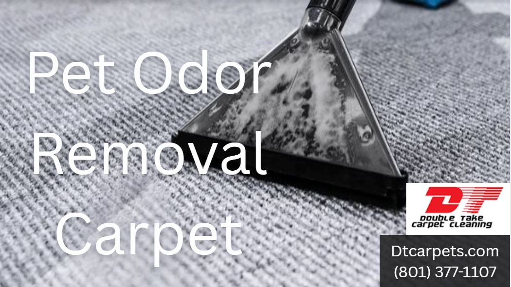 Pet Odor Removal Carpet