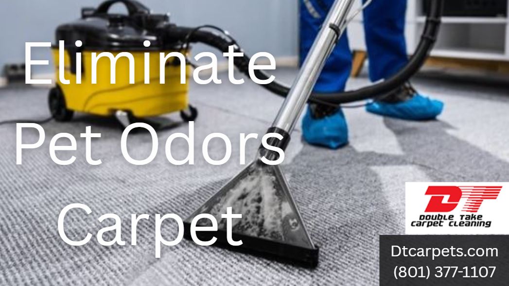 Eliminate Pet Odors Carpet
