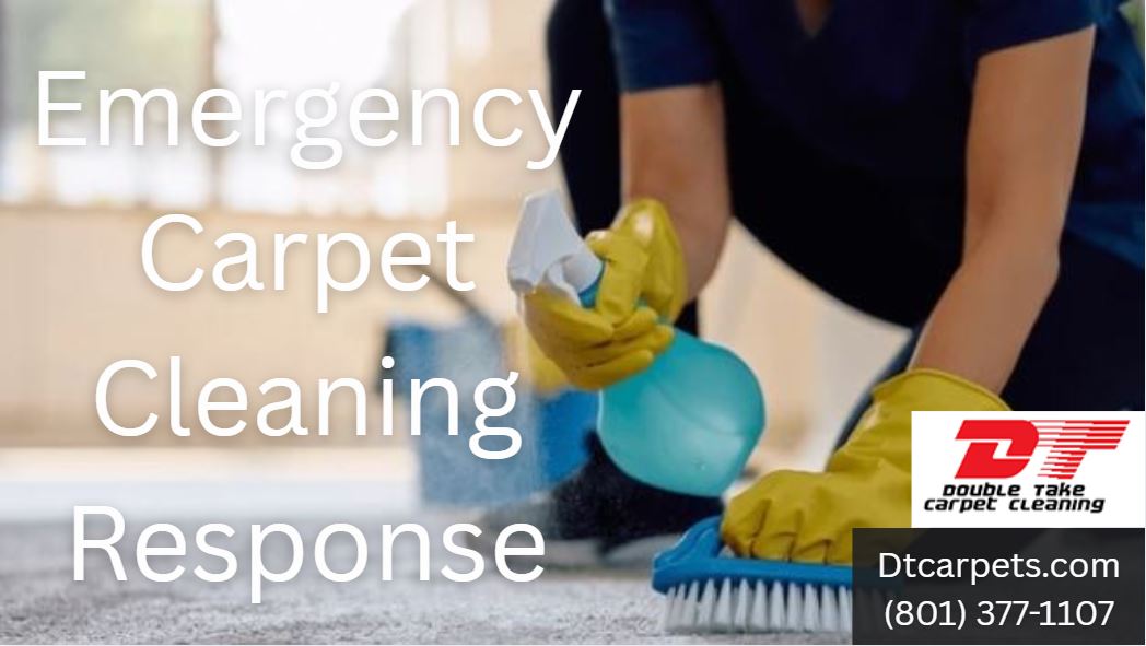 Emergency Carpet Cleaning Response
