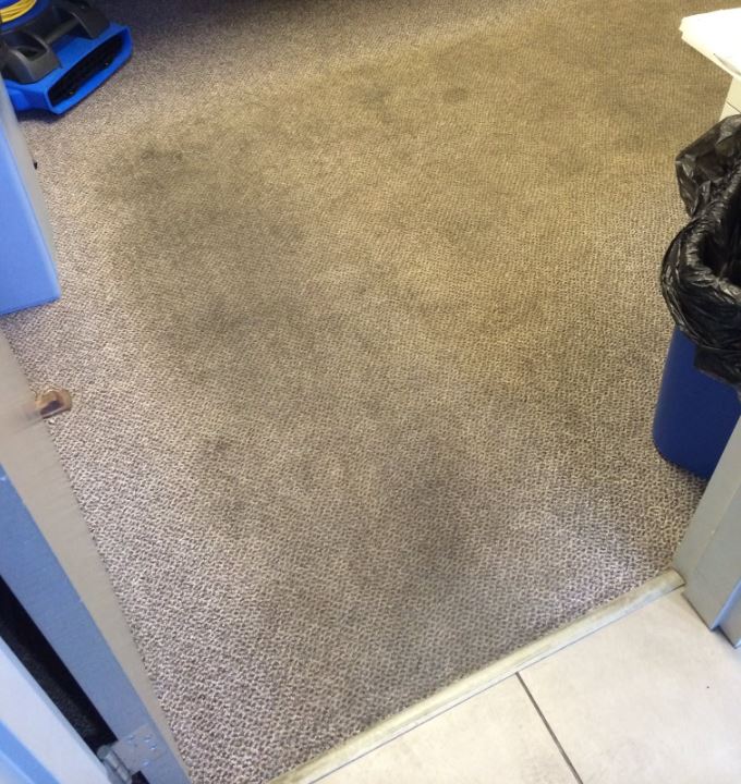 Carpet before Double Take professional cleaning