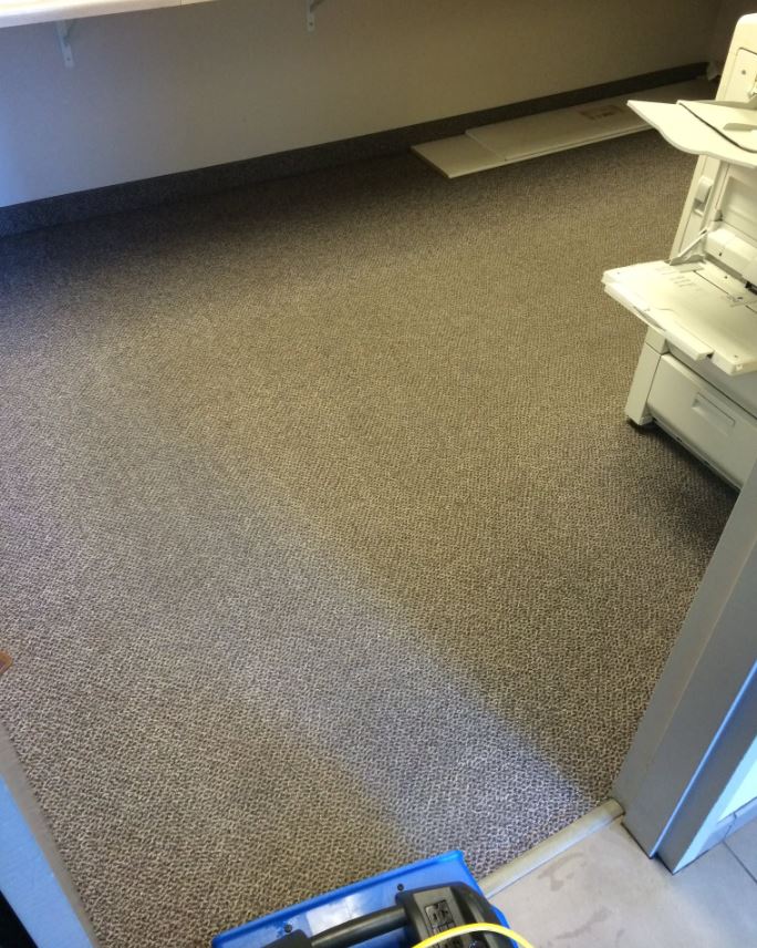 Carpet after Double Take professional cleaning