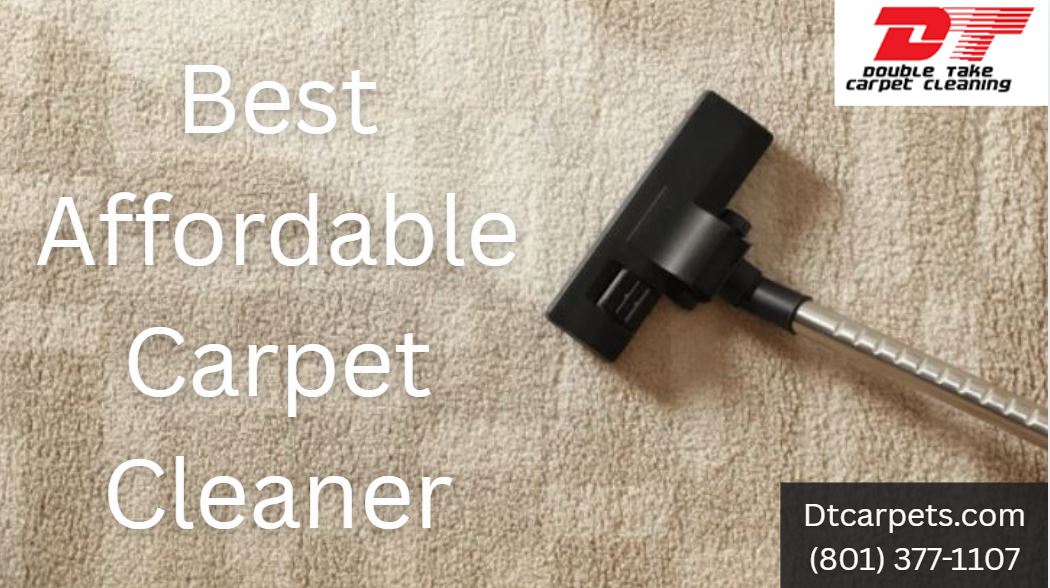 Best Affordable Carpet Cleaner