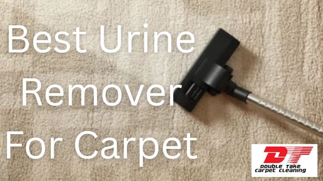 Best Urine Remover For Carpet