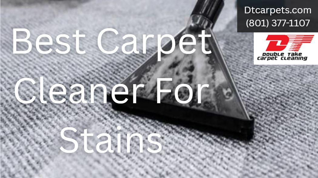 Best Carpet Cleaner For Stains