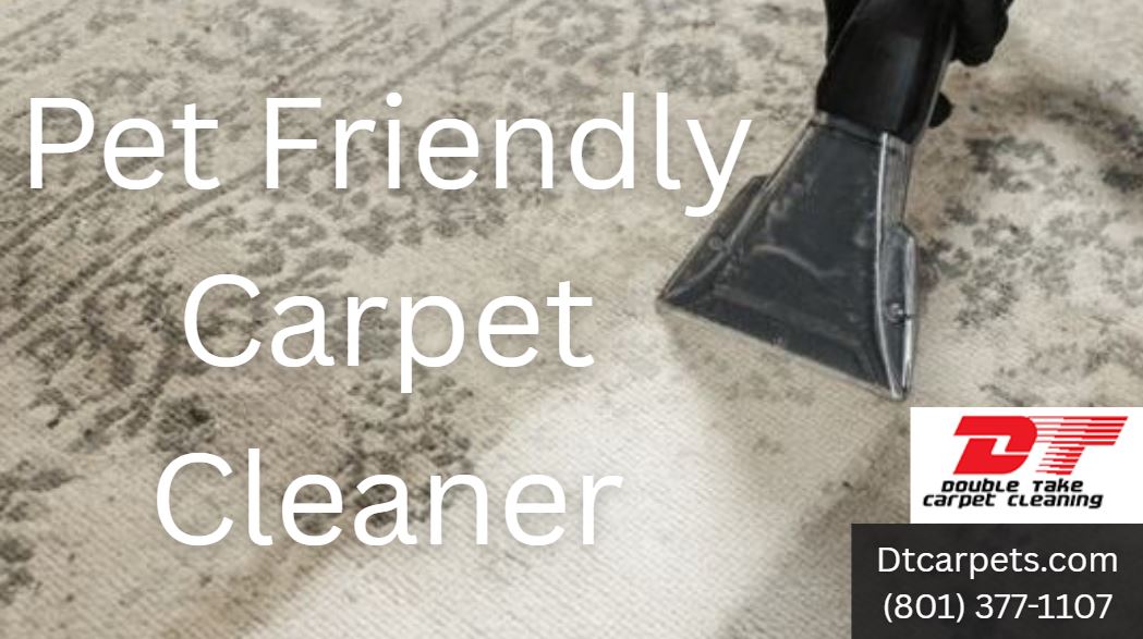 Pet Friendly Carpet Cleaner