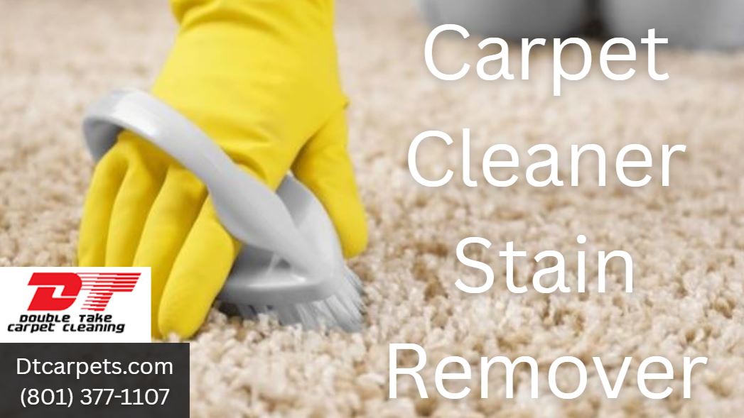 Carpet Cleaner Stain Remover