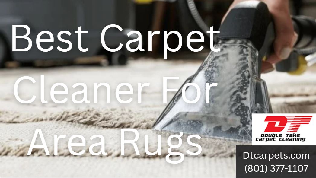 Best Carpet Cleaner For Area Rugs